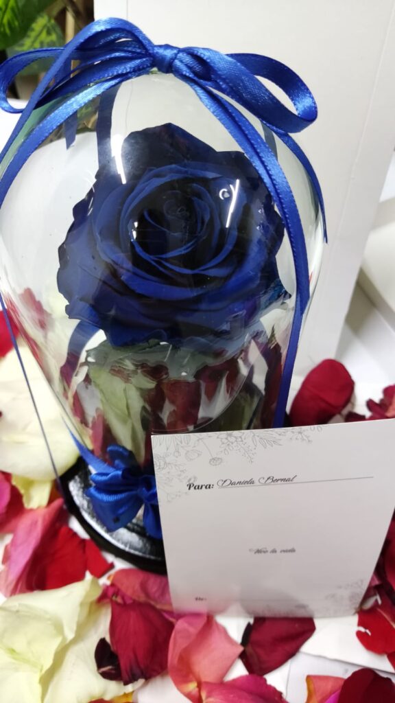 Rosa Preservada Azul Rey 2 Floristería en Cali | Flor y Vida | Envío Gratís