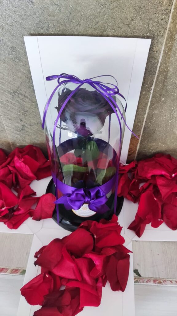 Rosa Purpura Floristería en Cali | Flor y Vida | Envío Gratís