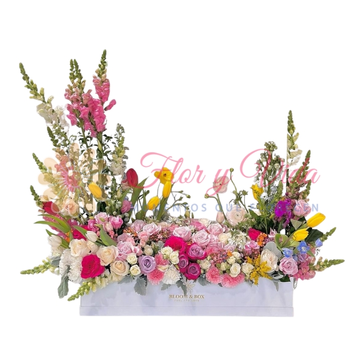 Caja de flores Arcoiris Florial