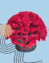 ARREGLOS FLORALES EN CALI FLORISTERIAS EN CALI DOMICILIOS A COLOMBIA 4