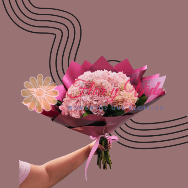 Aura de Hortensias