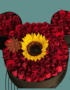 Flores a domicilio en Cali - Floristerías en cali 23 CAJAS DE ROSAS EN CALI FLORISTERIAS EN CALI CAJAS FLORALES 54
