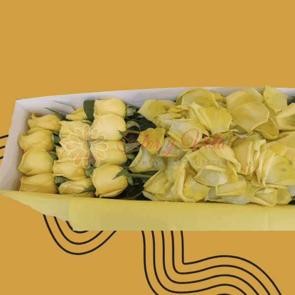 Caja de Gala con Peluche