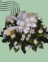 Flores a domicilio en Cali - Floristerías en cali 31 CORONAS FUNEBRES CALI RAMOS FUNEBRES CALI FLORISTERIAS EN CALI 57
