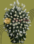 CORONAS FUNEBRES CALI RAMOS FUNEBRES CALI FLORISTERIAS EN CALI 68
