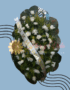 CORONAS FUNEBRES CALI RAMOS FUNEBRES CALI FLORISTERIAS EN CALI 80