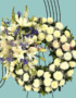 CORONAS FUNEBRES CALI RAMOS FUNEBRES CALI FLORISTERIAS EN CALI 92