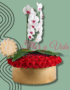 Flores a domicilio en Cali - Floristerías en cali 16 ORQUIDEAS EN CALI FLORISTERIAS EN CALI PLANTAS Y VIVEROS COLOMBIA DOMICILIOS EN CALI 16
