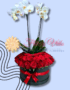 Flores a domicilio en Cali - Floristerías en cali 21 ORQUIDEAS EN CALI FLORISTERIAS EN CALI PLANTAS Y VIVEROS COLOMBIA DOMICILIOS EN CALI 8