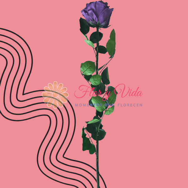 Rosa Inmortal