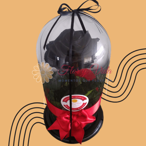 Corazón de Roca y Flor