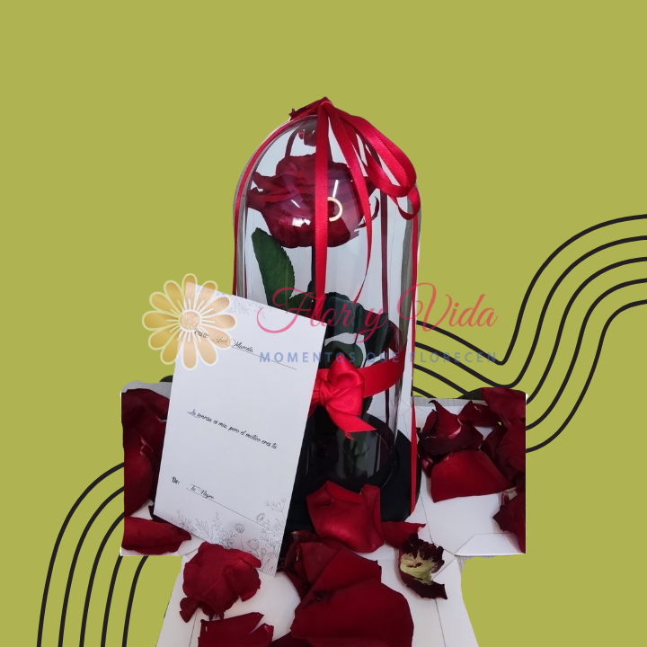 Rosas Preservadas en cali