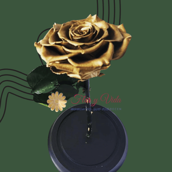 Rosa Majestuosa 18k