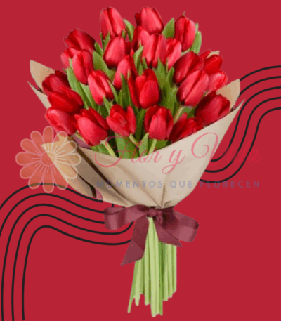 Tulipanes en Cali