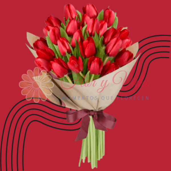 Tulipanes en Cali