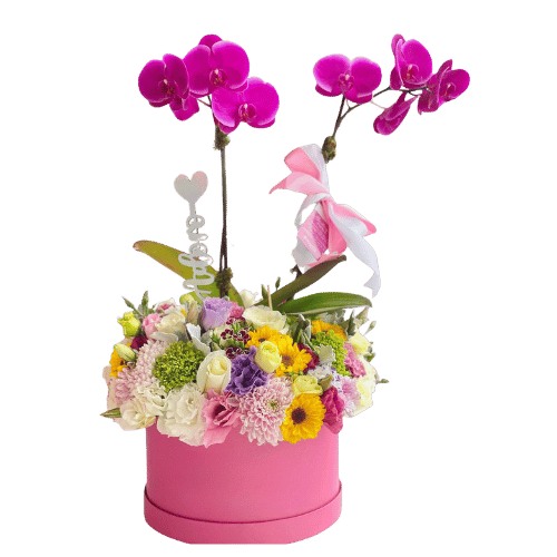 FLORISTERIA EN CALI #1 Alameda Premium - Envió Gratis 4 Floristeria en cali