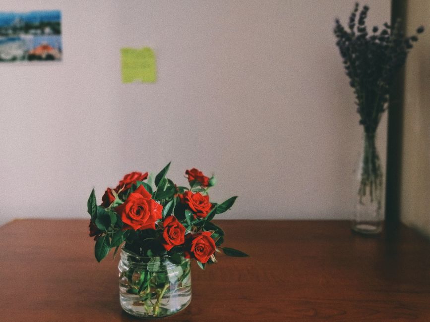 Cómo identificar la calidad real al buscar floristerías en Cali