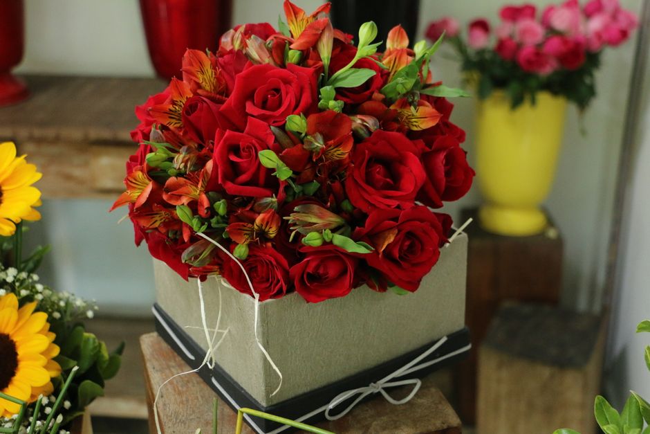 Best floristerías en cali — visual overview
