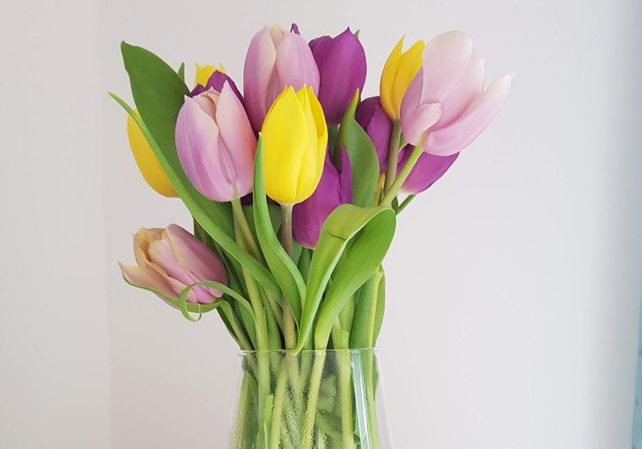Arreglos florales amor y amistad — Cuidados esenciales para prolongar la vida de tus flores
