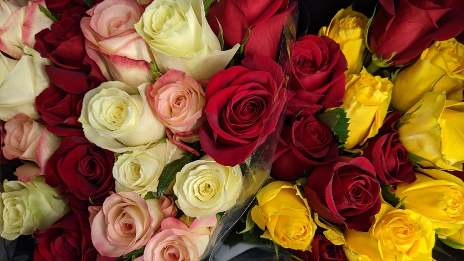 Por qué se celebra amor y amistad en septiembre — visual overview