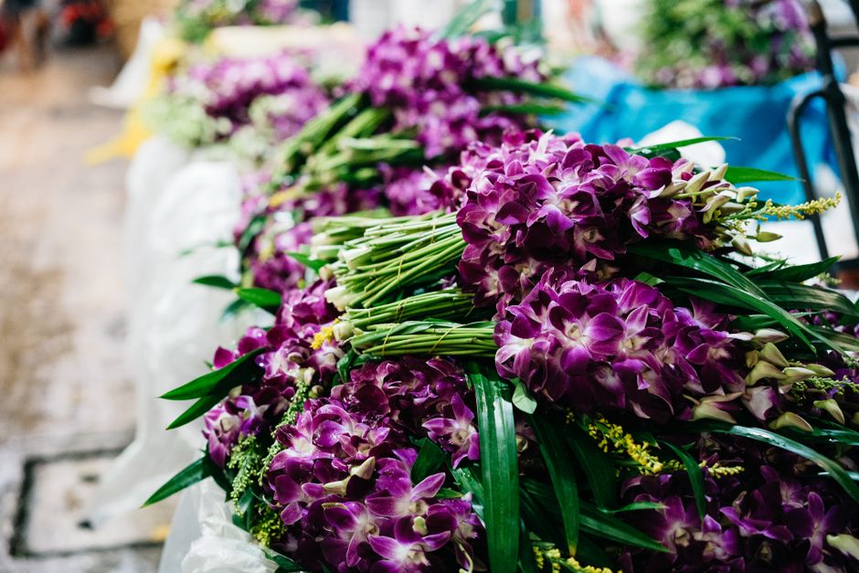 Guía técnica para que tus arreglos con orquídeas para regalo duren meses