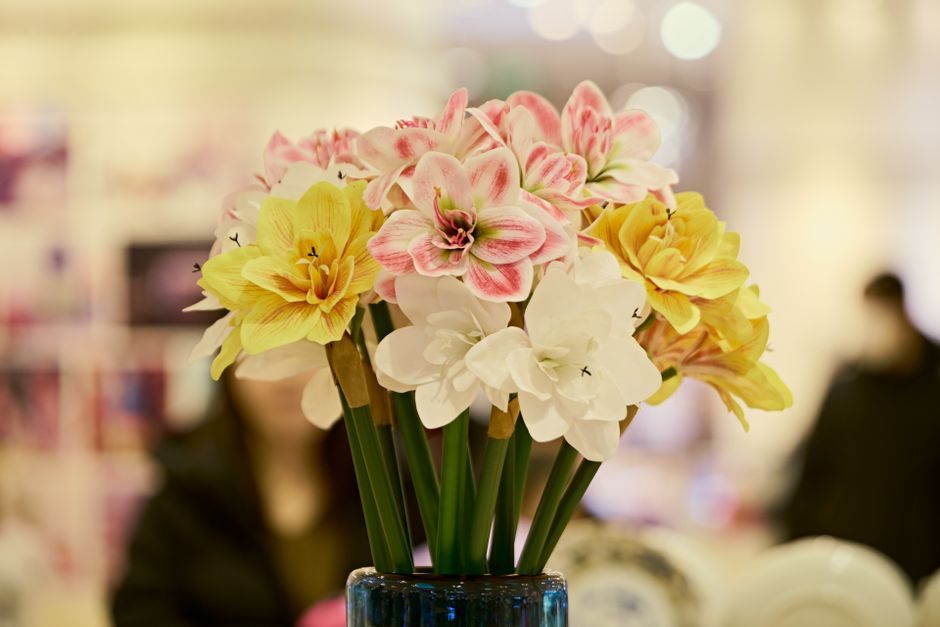 Flores para regalar en navidad — Cómo cuidar tus arreglos florales para que duren hasta enero