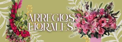 floristerias en cali