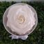 Floristerías-en-cali-99 Rosa preservada Blanca