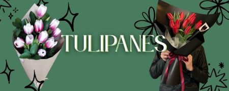 floristerias en cali